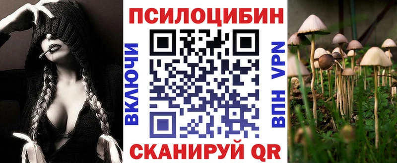 Купить закладки  Белебей  Псилоцибиновые грибы мицелий 